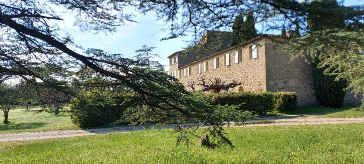 Chateau Saint-Pierre De Mejans Puyvert Εξωτερικό φωτογραφία