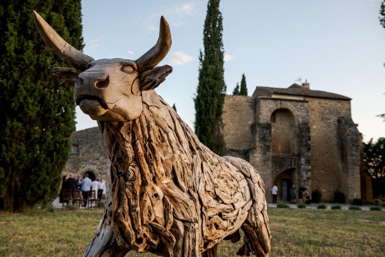 Chateau Saint-Pierre De Mejans Puyvert Εξωτερικό φωτογραφία