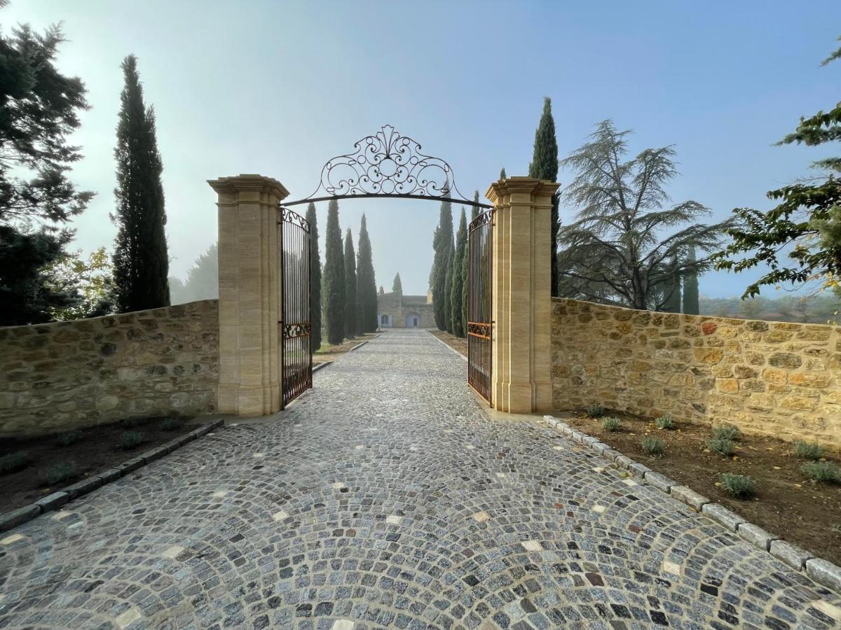Chateau Saint-Pierre De Mejans Puyvert Εξωτερικό φωτογραφία