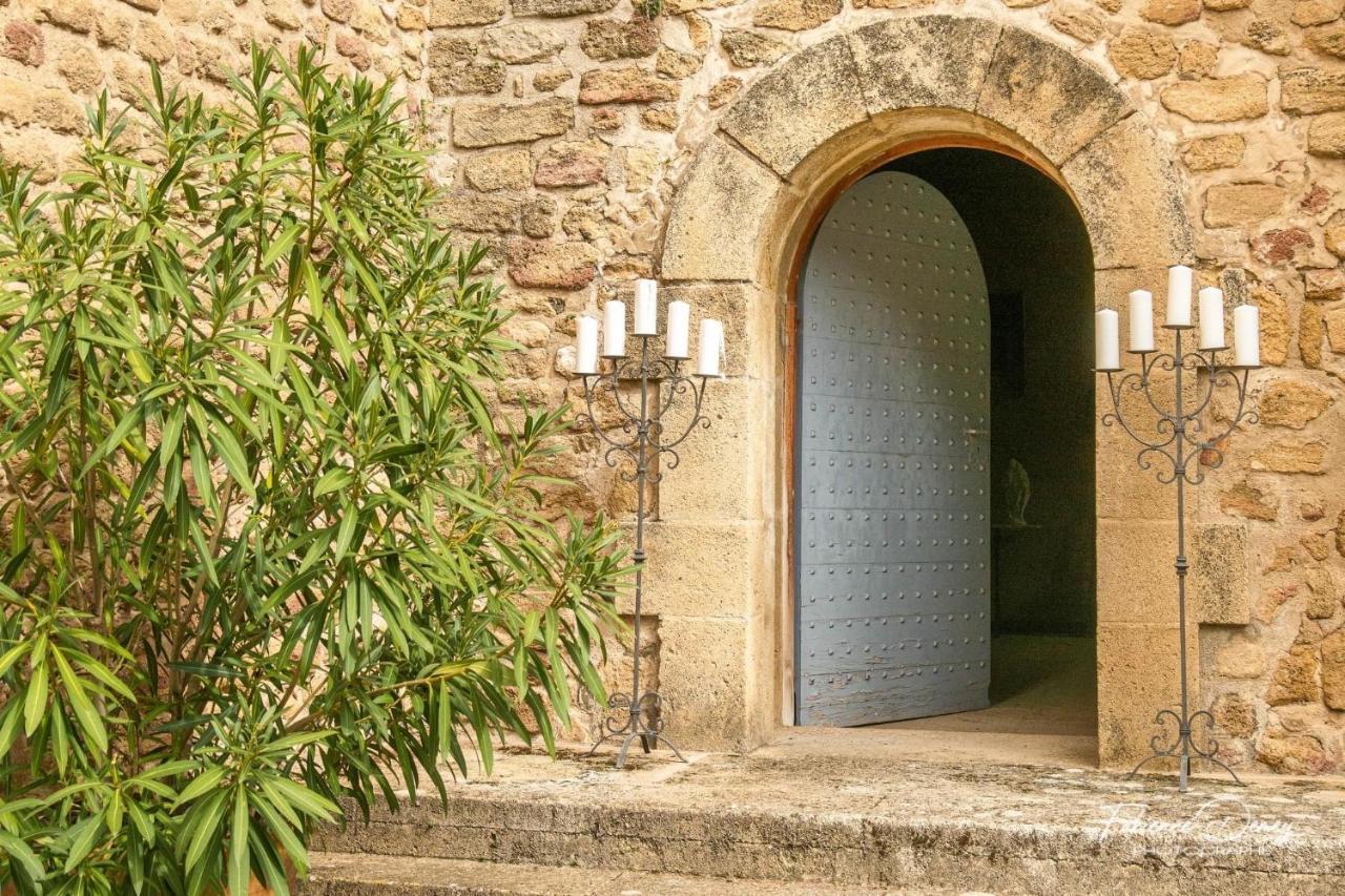 Chateau Saint-Pierre De Mejans Puyvert Εξωτερικό φωτογραφία