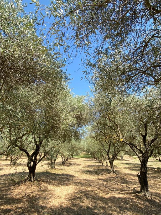 Chateau Saint-Pierre De Mejans Puyvert Εξωτερικό φωτογραφία