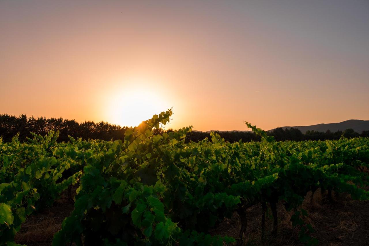 Chateau Saint-Pierre De Mejans Puyvert Εξωτερικό φωτογραφία