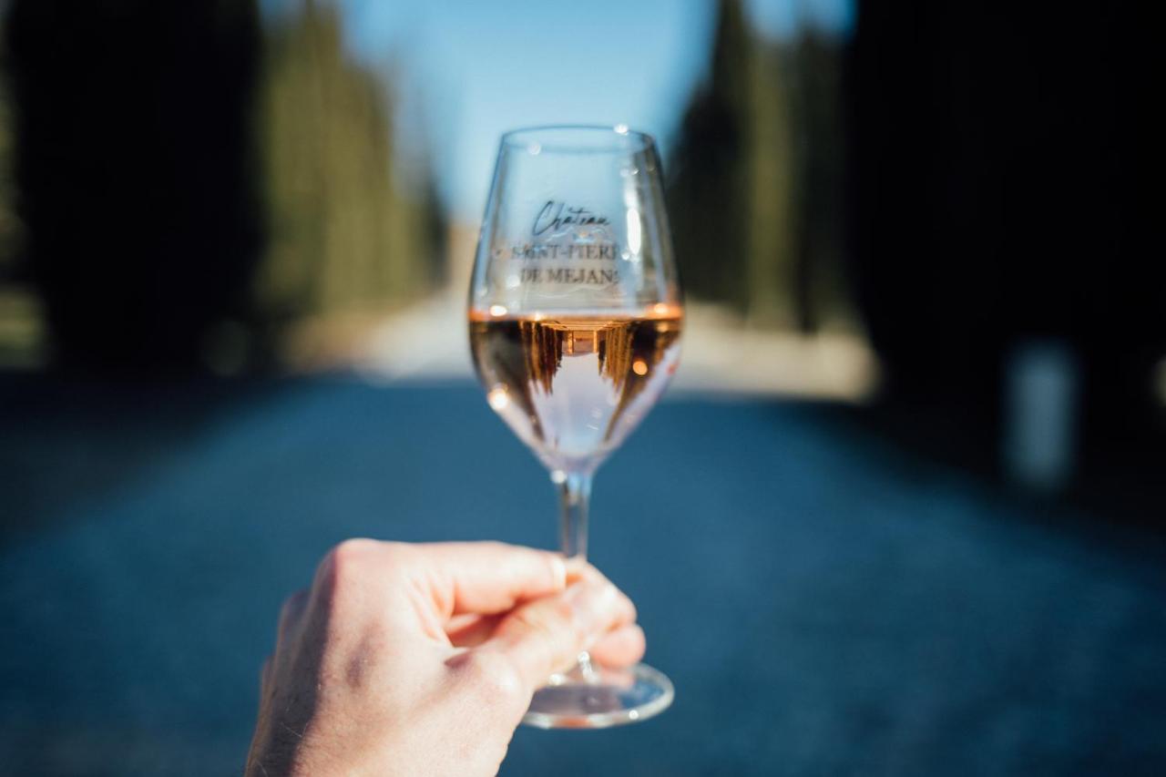 Chateau Saint-Pierre De Mejans Puyvert Εξωτερικό φωτογραφία