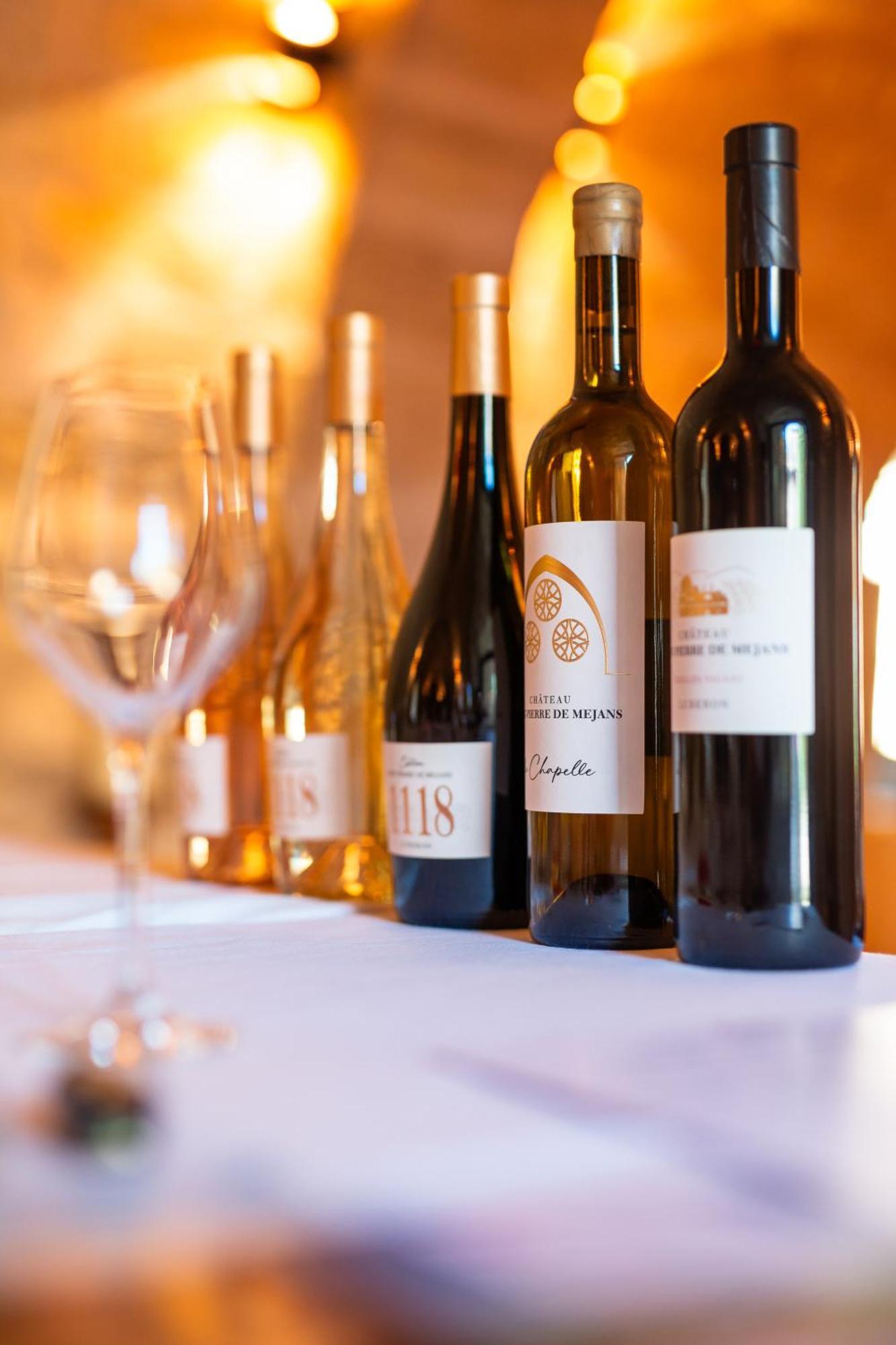 Chateau Saint-Pierre De Mejans Puyvert Εξωτερικό φωτογραφία