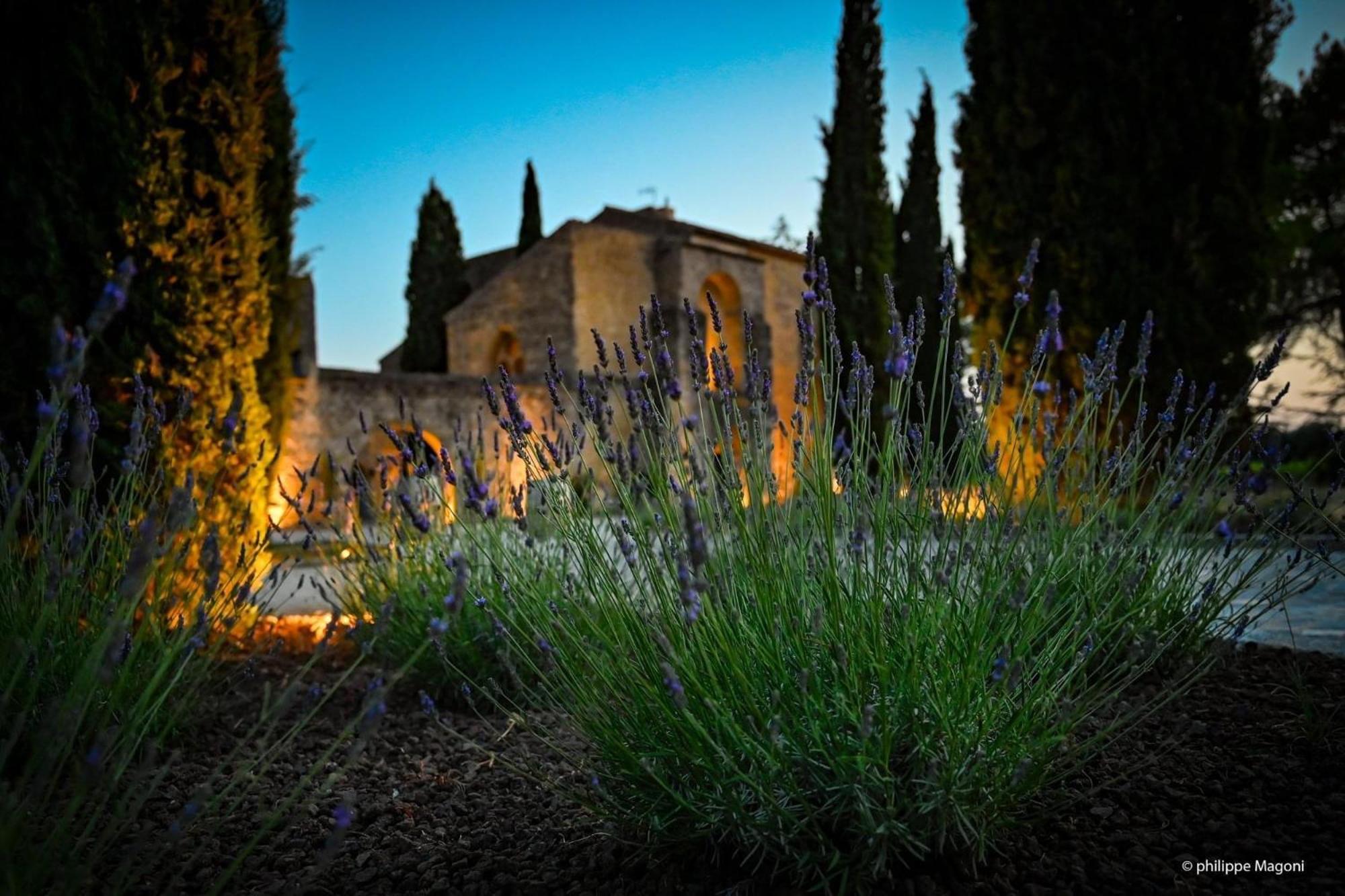 Chateau Saint-Pierre De Mejans Puyvert Εξωτερικό φωτογραφία