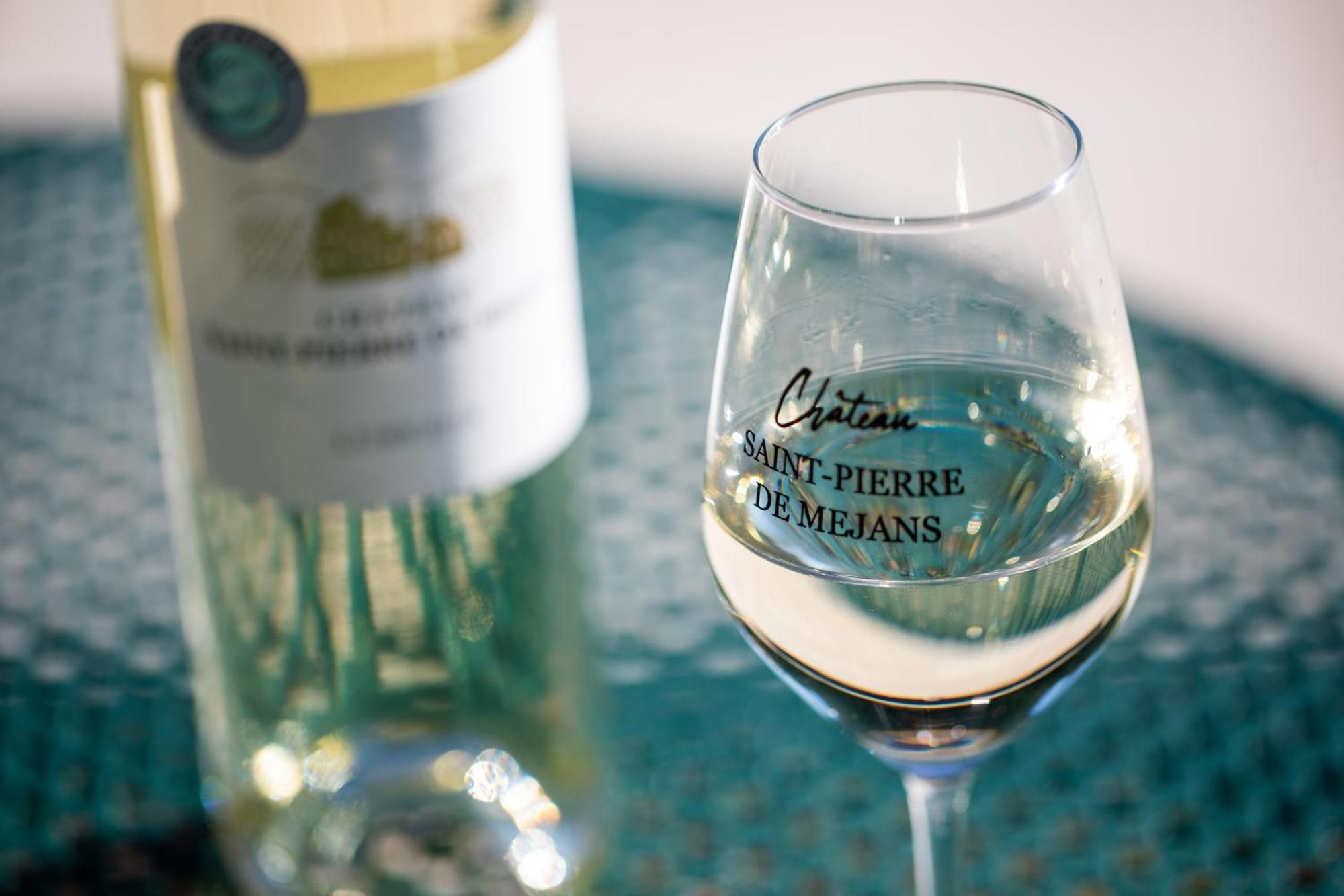 Chateau Saint-Pierre De Mejans Puyvert Εξωτερικό φωτογραφία